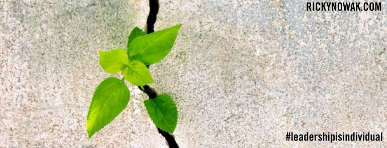 EDM3-resilience-770×295